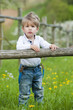 Kleiner Junge in einer Wiese