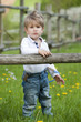 Kleiner Junge in einer Wiese