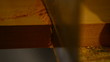 Luthier, carpenter or craftsman cutting wood, close up.