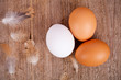 Photo: three eggs and feathers three eggs and feathers