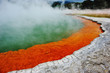 champagne pool