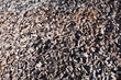 casted pig iron
