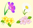 Blumenset