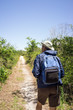 Man Hiking on a Path in a National Park