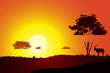africa