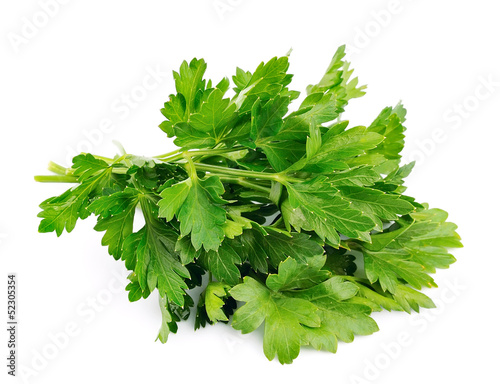 Photo: Fresh parsley herb Fresh parsley herb