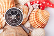 compass on vintage map