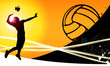 Volleyball background