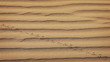 1920x1080 hidef, hdv - Scarab is running on the sand surface