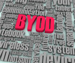 BYOD Words in Perspective