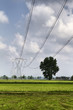 Elettrodotto in campagna
