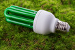 Energy saving light bulb on green grass