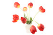 Tulips in a Vase
