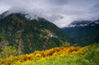Vista del pueblo de Canejan, Valle de Aran