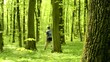 Man walk in the forest