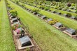 World war two soilder cemetary ground in Thailand