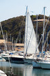 Yachts Moored At Punta Ala, Tuscany