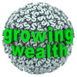Growing Wealth Words Dollar Sign Ball Earn Income