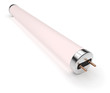 Daylight fluorescent lamp