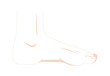 Foot