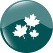 Illustration: Maple leaf icon on green sticker Maple leaf icon on green sticker