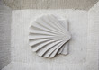Pilgrim's Shell