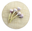garlic on mat, clipping path included