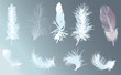 nine light feathers on blue background