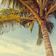 photobeach-23