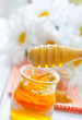 Pollen and honey