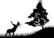 Vector: pine tree and deer silhouettes pine tree and deer silhouettes
