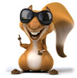 Fun squirrel