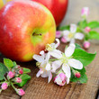Photo: Äpfel mit Apfelblüten Äpfel mit Apfelblüten