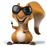 Fun squirrel