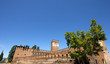 Foto: Castelvecchio Verona - Italy (1357) Castelvecchio Verona - Italy (1357)