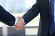 Closeup of a business hand shake between two colleagues
