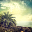 background-61
