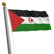 Die Flagge von Demokratische Arabische Republik Sahara