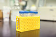 Test tubes in yellow base