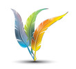 Three colourful artistic feathers