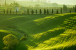 Countryside, San Quirico d`Orcia , Tuscany, Italy