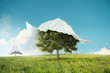Rediscover the nature