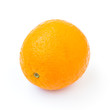orange isolated on white background