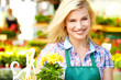 Photo: Florists woman working with flowers at a greenhouse. Florists woman working with flowers at a greenhouse.