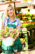 Florists woman working with flowers at a greenhouse.