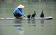 A Chinese fishermen and cormorants