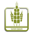 Agricultural green icon template. Ecology design