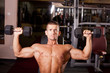 Bodybuilder training