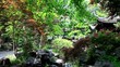 Pan Shot of Yu Garden
