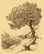 Vector landscape. Old bench near tree on the bank of lake